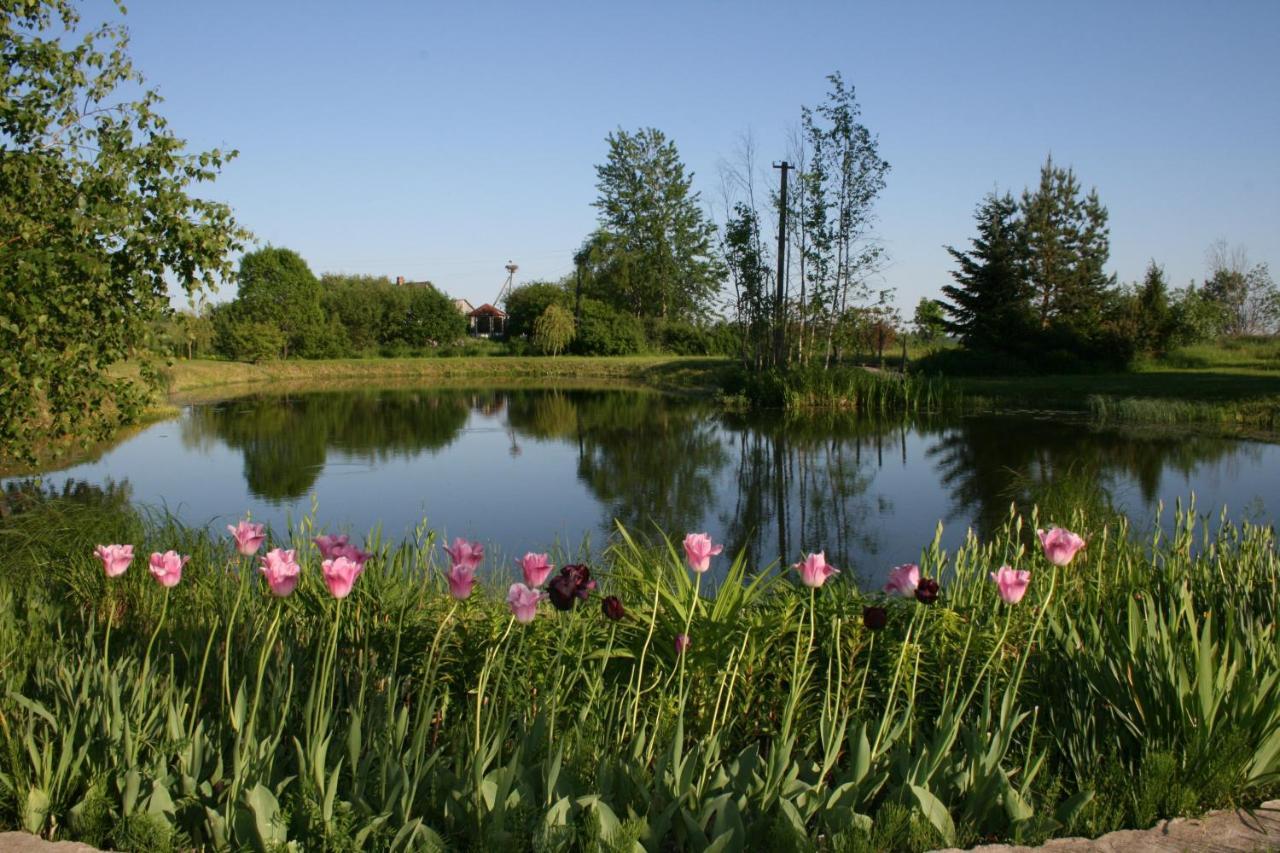 Dikisi Villa Daugavpils Buitenkant foto