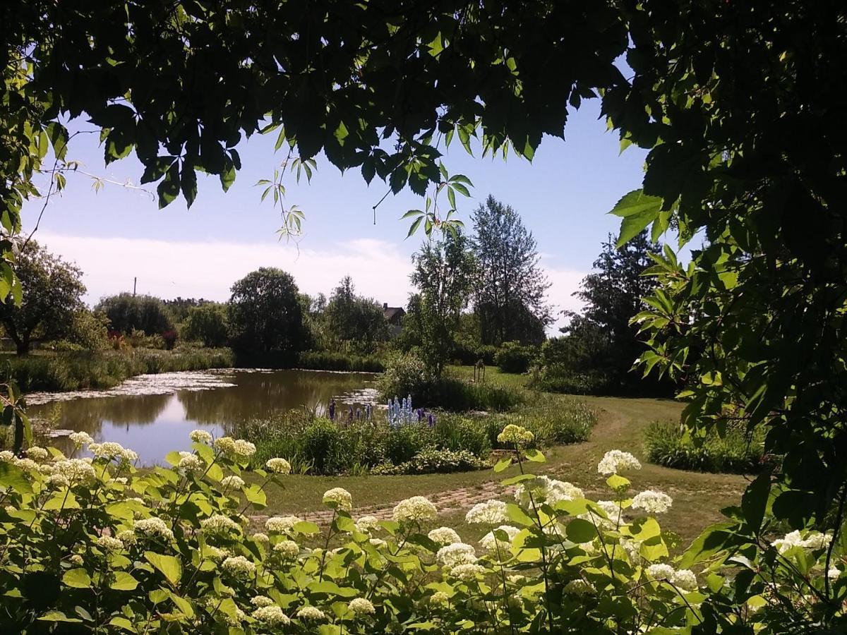 Dikisi Villa Daugavpils Buitenkant foto