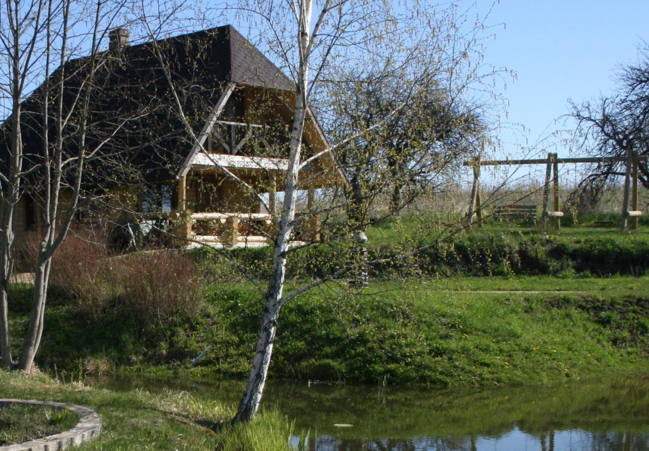 Dikisi Villa Daugavpils Buitenkant foto